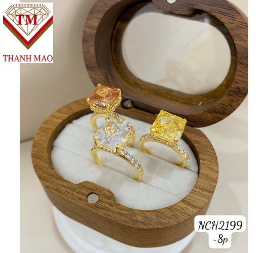 TMJ-NCH2199