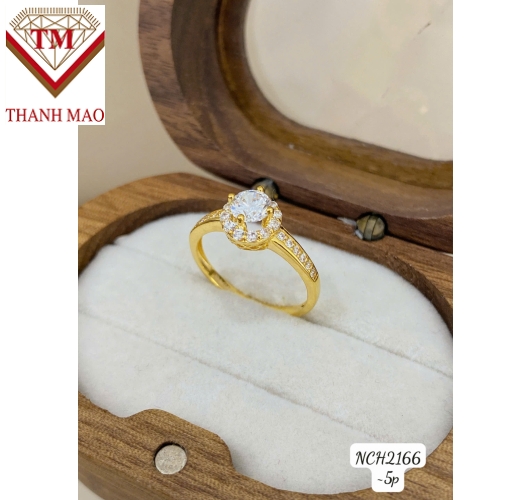 TMJ-NCH2166